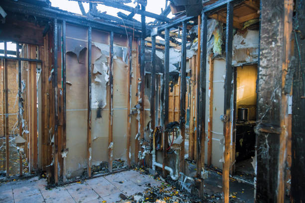 Professional Fire Damage Repair technician working in Lewisville, WA